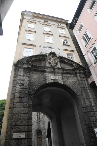 DSC_6164 (Large).JPG